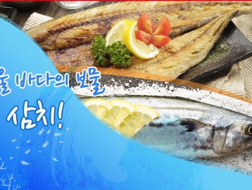 겨울 바다의 보물, 삼치!