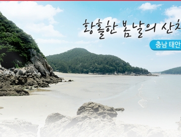 황홀한 봄날의 산책 :: 충남 태안
