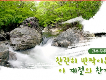 찬란히 반짝이는 이 계절의 찬가 :: 전북 무주